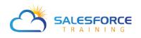 Salesforce Training & Consulting image 2